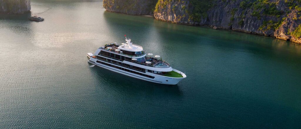 Stellar of the Seas